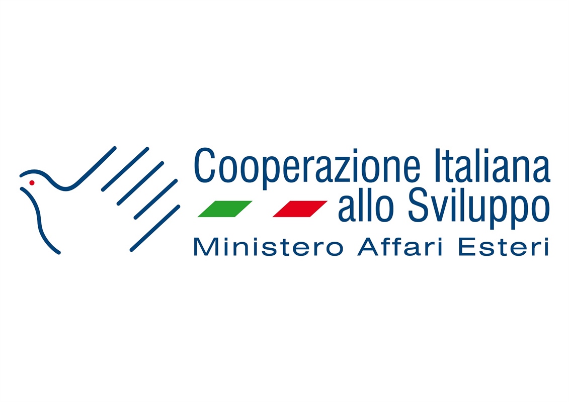 Cooperazione allo sviluppo